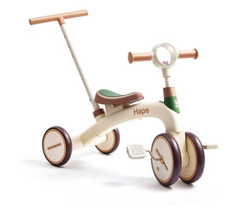 Hape Step by Step Trike