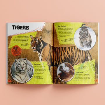 Incredible But True: Animals