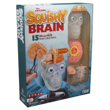 The Amazing Squishy Brain