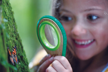 Hape Nature Detective Set for the backyard or out exploring high quality The Toy Wagon