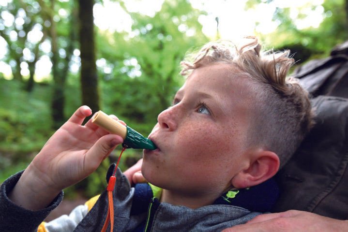 Hape Nature Detective Set for the backyard or out exploring high quality The Toy Wagon