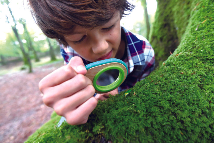 Hape Nature Detective Set for the backyard or out exploring high quality The Toy Wagon