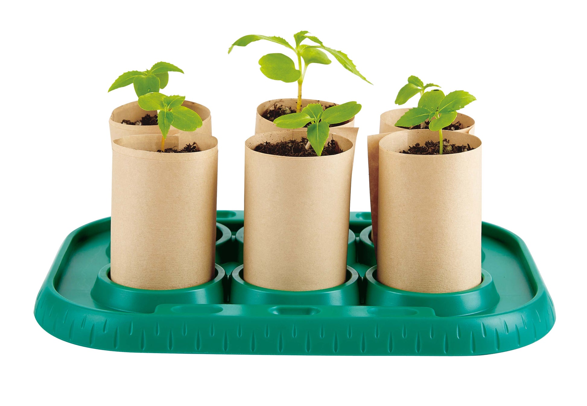 Hape Growing Gardeners Green house eco playset for kids