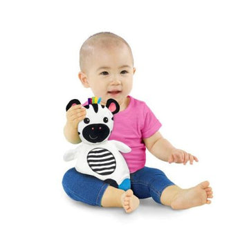 Baby Einstein Zen the Zebra Sensory Plush Teether