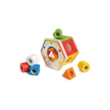 Hape Color Matching & Shape Sorting Box