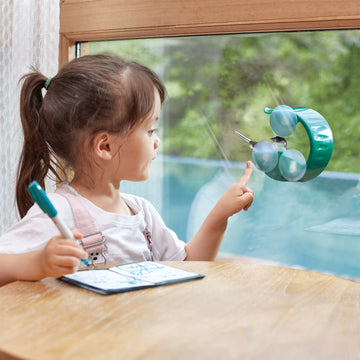 Hape Bird Feeder