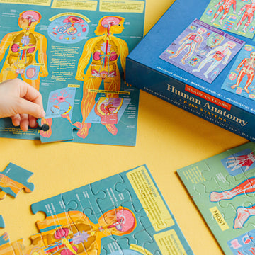eeBoo 48pc Puzzle Ready to Learn- Human Anatomy Set