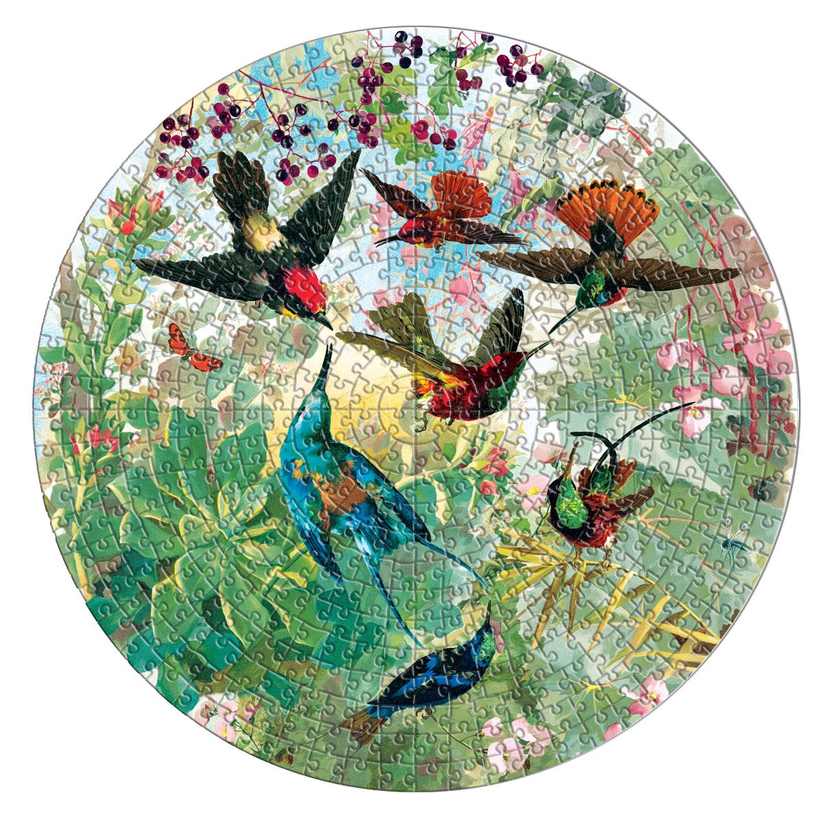 eeBoo 500pc Puzzle Hummingbirds Rd The Toy Wagon