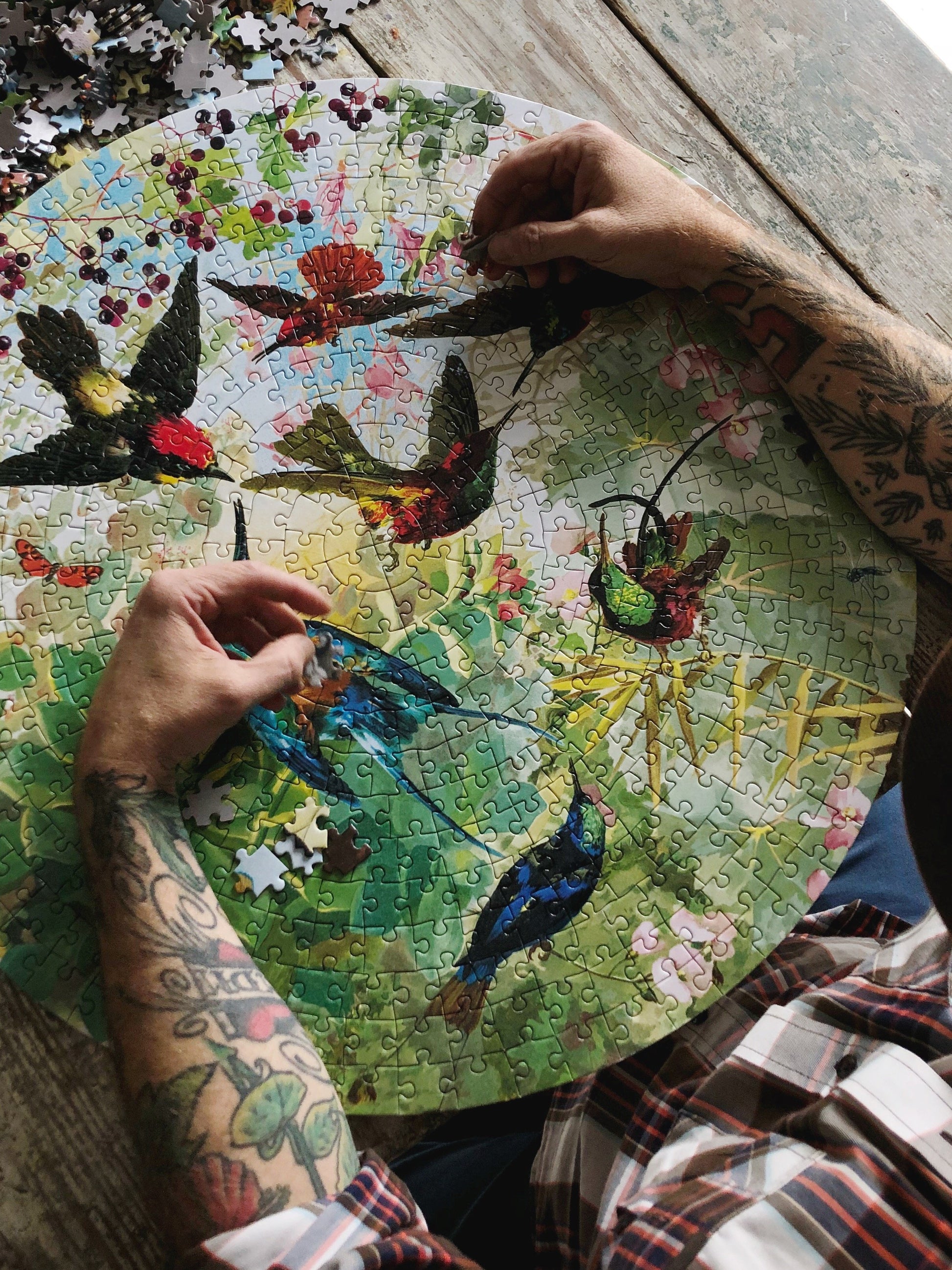 eeBoo 500pc Puzzle Hummingbirds Rd The Toy Wagon