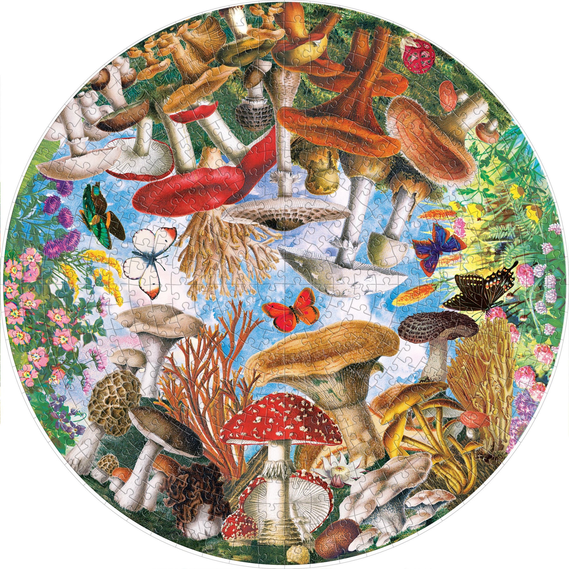 eeBoo 500pc Puzzle Mushrooms and Butterflies Rd The Toy Wagon