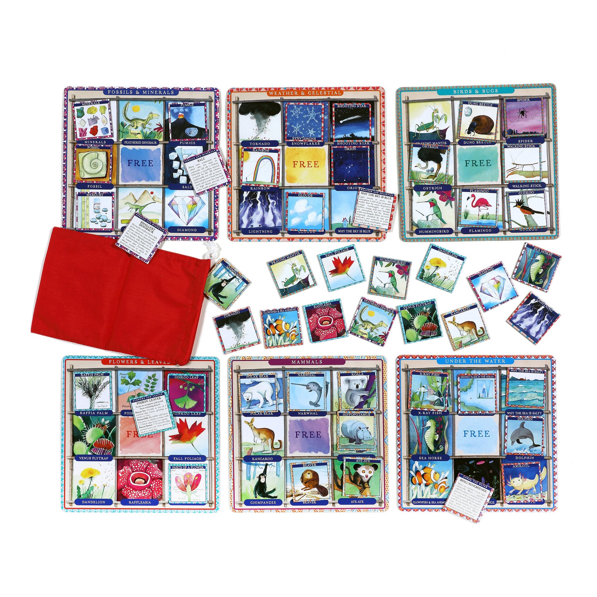 eeBoo Bingo Earth Science The Toy Wagon