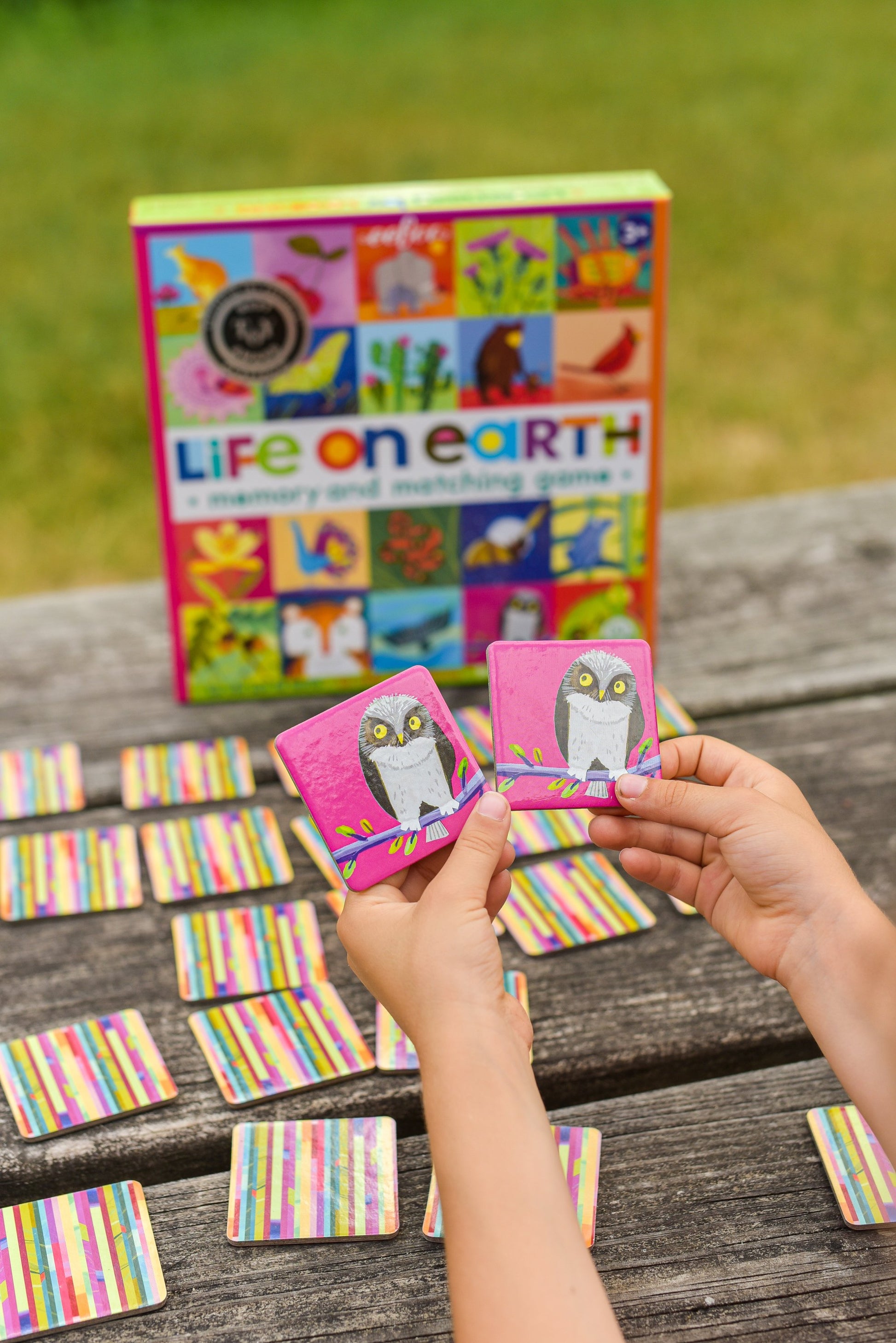 eeBoo Matching Game Life on Earth E The Toy Wagon