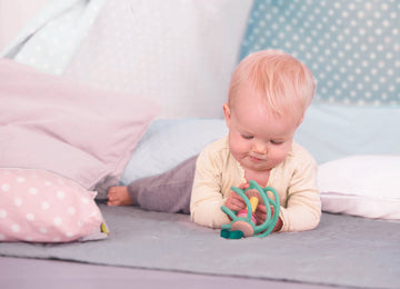 Hape Apple Grab Toy The Toy Wagon
