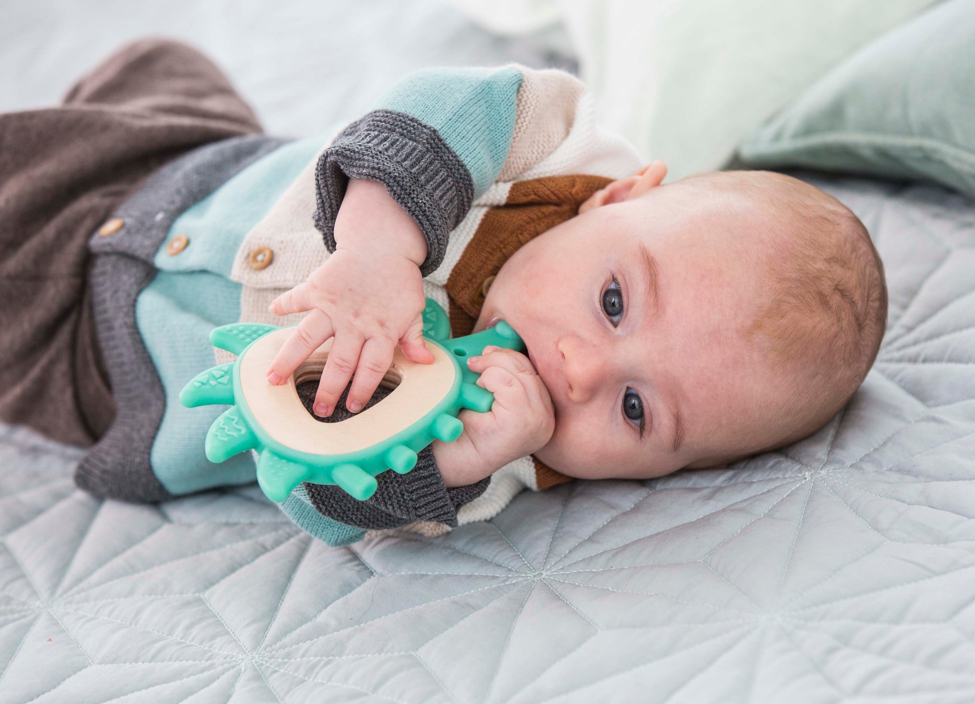 Hape Teether Hedgehog The Toy Wagon