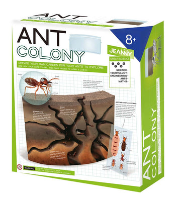 Jeanny Create Your Own Ant Colony