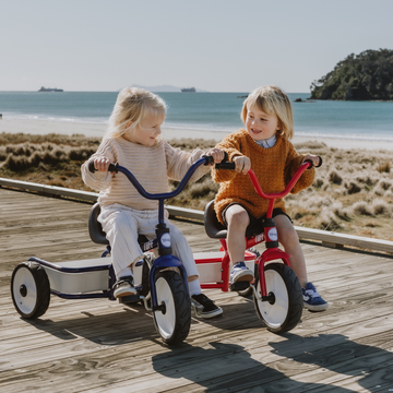 Tri Ang Riding Donkey Tri Ang - The Toy Wagon – Tagged
