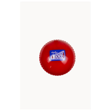 Cooee Outdoor Single Cricket Set