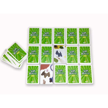 I Spy Card Game Match