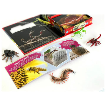 Pocket Explorers Crawlers