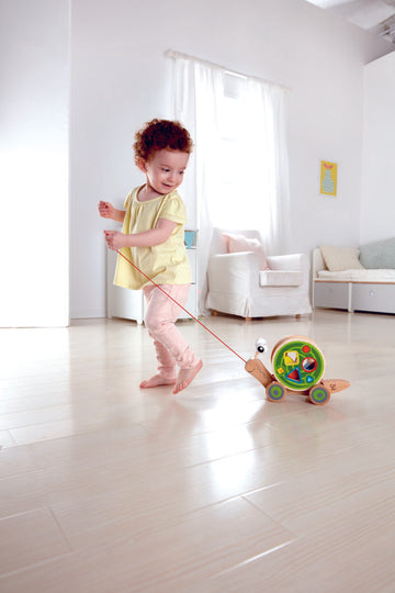 Hape Walk-A-Long Snail wooden push or pull along toy with sHape sorter for babies The Toy Wagon