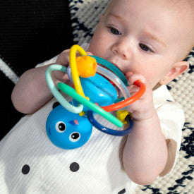 Baby Einstein Opuss Shake & Siithe Teether Toy and Rattle