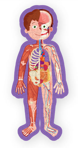 Book and Jigsaw: Human Body
