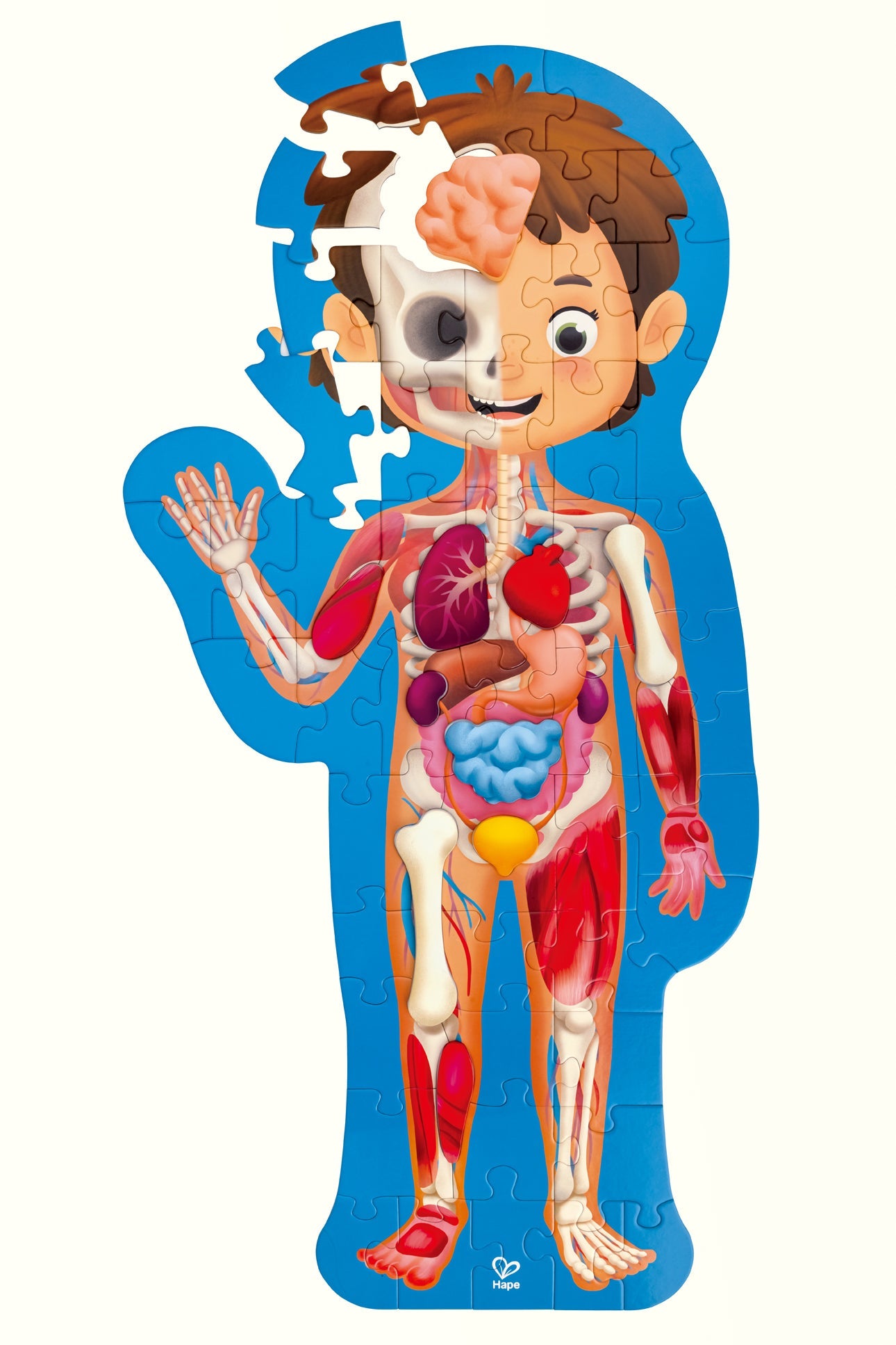 Hape 50pc Human Body Puzzle