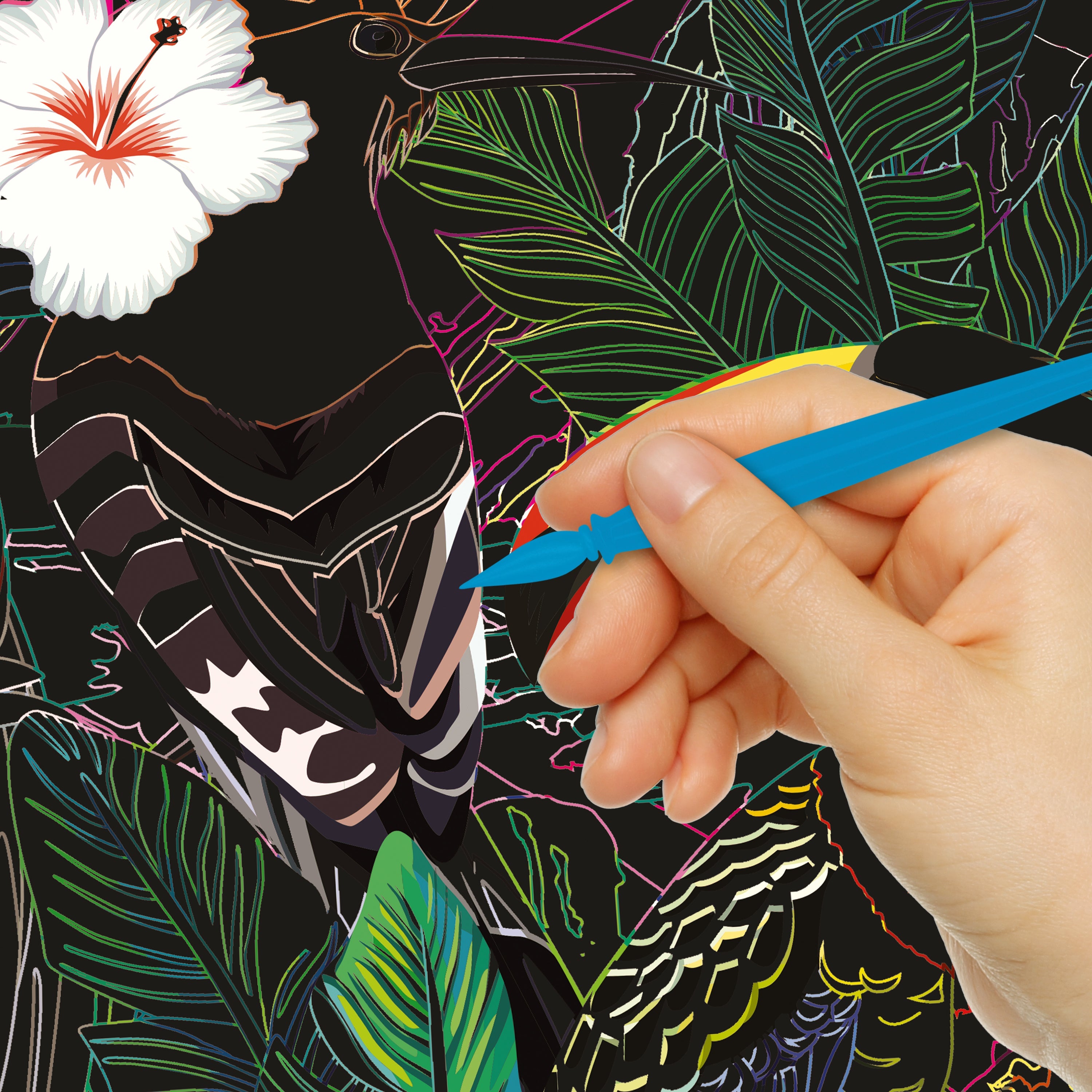 Kaleidoscope Etch Art Creations Brilliant Nature