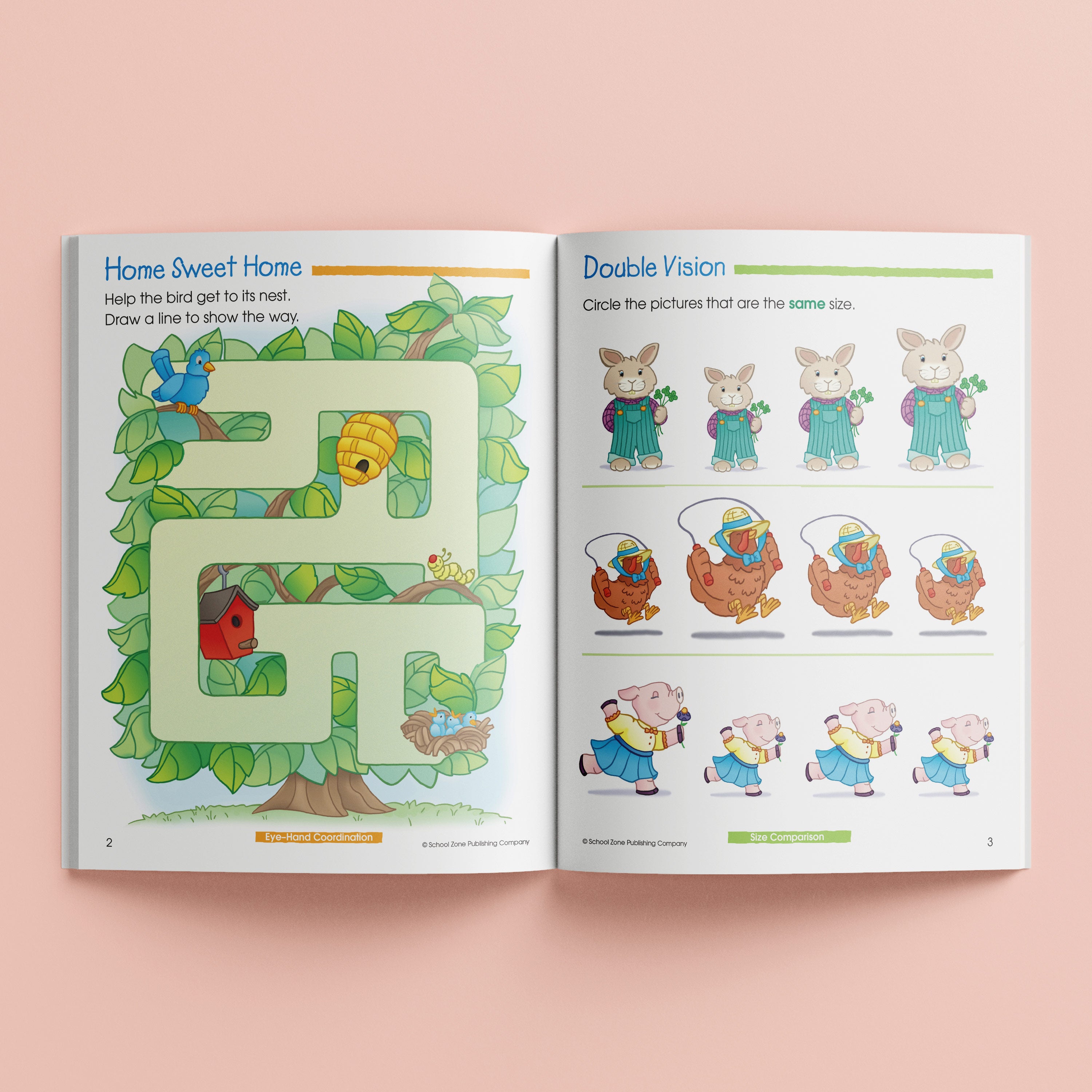 Kidzone School.pdf School Zone Preschool School Basics