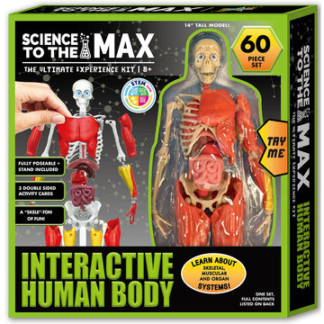 Science To The Max - Interactive Human Body