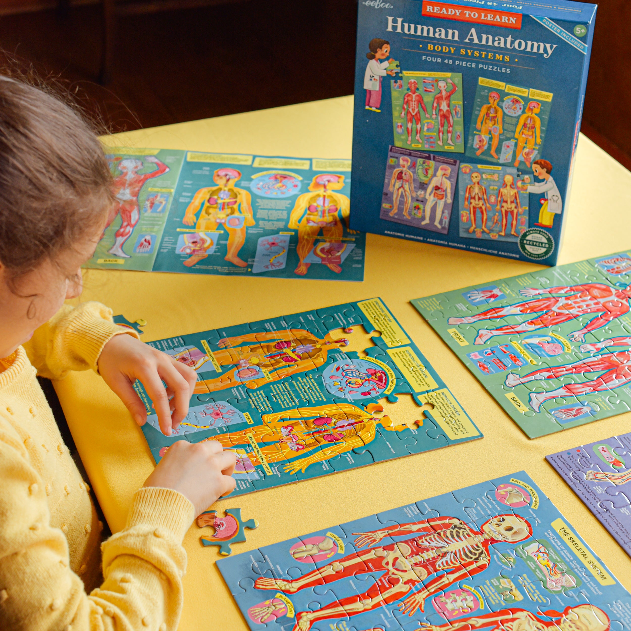 eeBoo 48pc Puzzle Ready to Learn- Human Anatomy Set