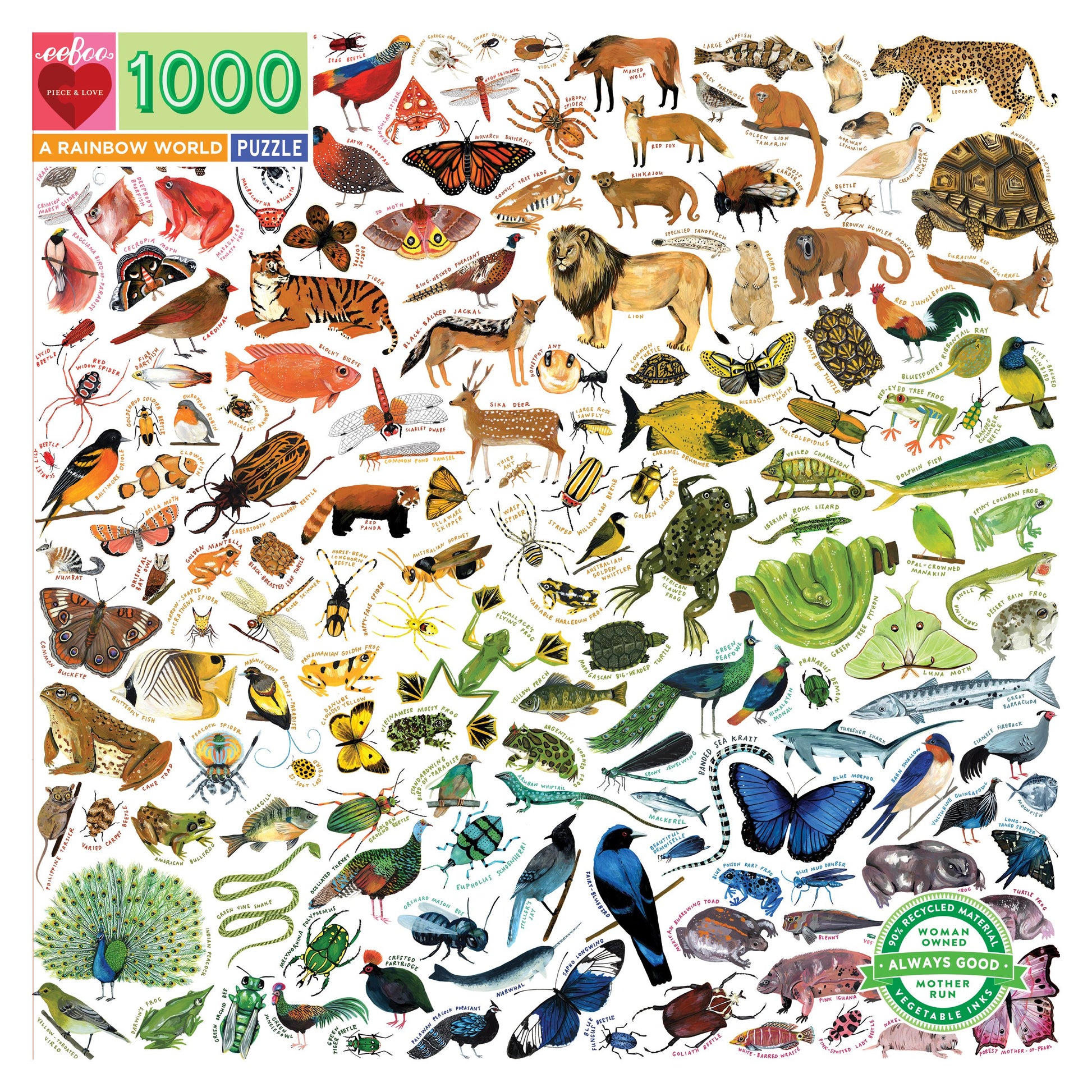 eeBoo 1000pc Puzzle A Rainbow World The Toy Wagon
