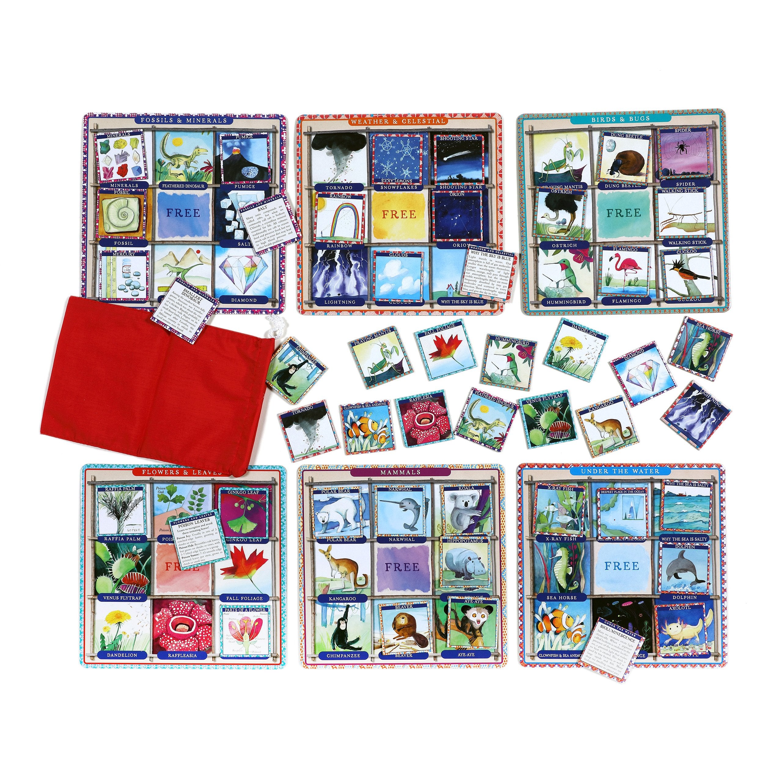 eeBoo Bingo Earth Science