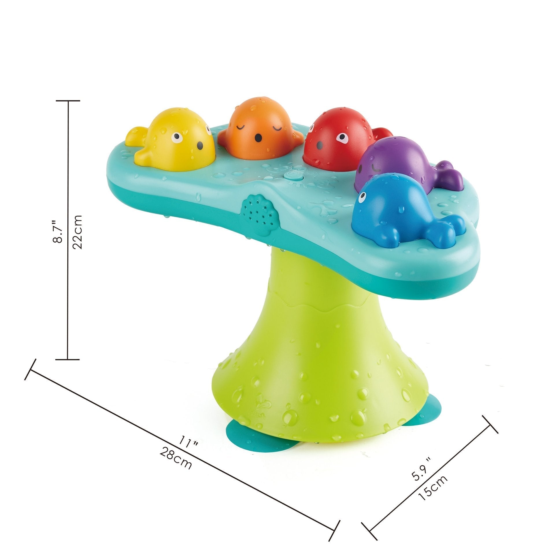 Hape Musical Whale Fountain The Toy Wagon