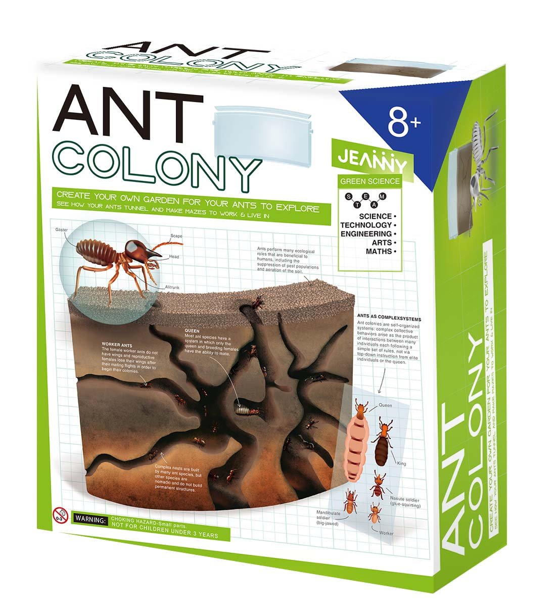 Jeanny Create Your Own Ant Colony The Toy Wagon